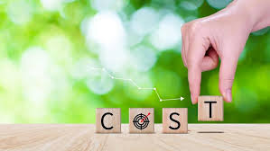 Cost Efficiency